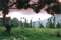 Sabol Site View(East) 